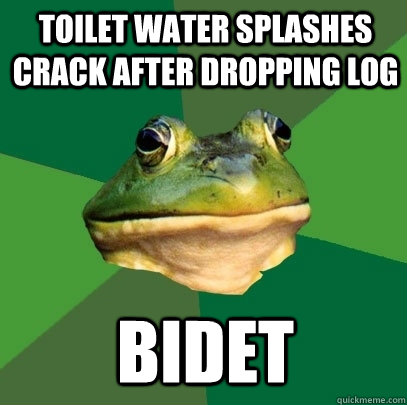 toilet water splashes crack after dropping log bidet  Foul Bachelor Frog