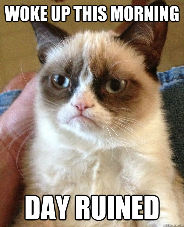 Woke up this morning Day ruined - Woke up this morning Day ruined  Misc