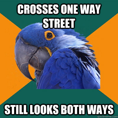 Crosses one way street  Still looks both ways  Paranoid Parrot