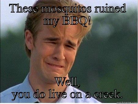 THESE MOSQUITOS RUINED MY BBQ! WELL, YOU DO LIVE ON A CREEK. 1990s Problems