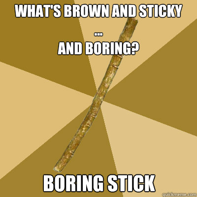 What's brown and sticky
...
and boring? Boring stick  