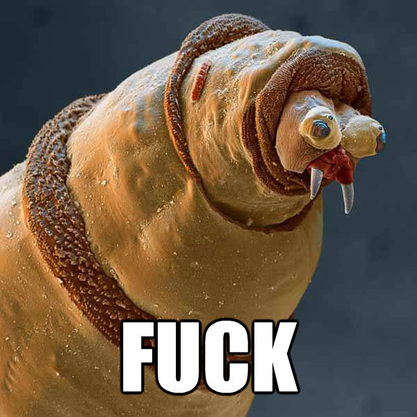  FUCK  