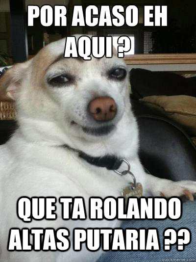 POR ACASO EH AQUI ? QUE TA ROLANDO ALTAS PUTARIA ??   