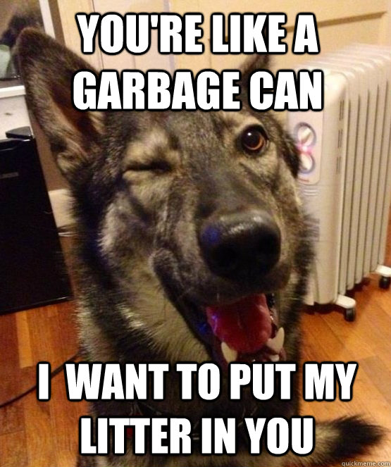 You're like a garbage can I  want to put my litter in you - You're like a garbage can I  want to put my litter in you  Pickup Pup