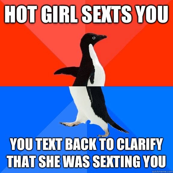Hot girl sexts you You text back to clarify that she was sexting you  Socially Awesome Awkward Penguin
