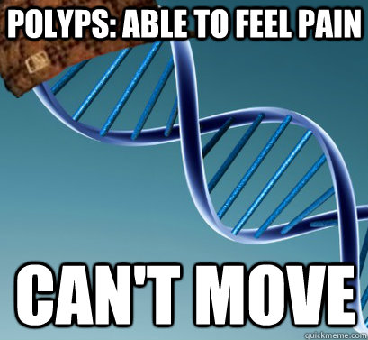 Polyps: able to feel pain Can't move   Scumbag DNA
