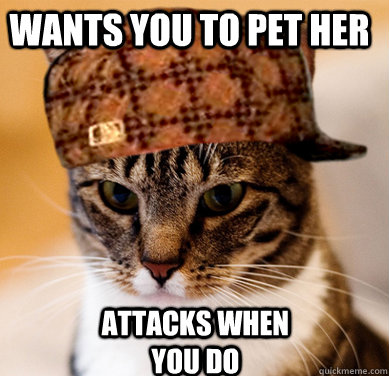 Wants you to pet her Attacks when you do  Scumbag Cat