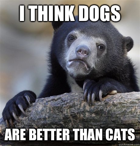 I think dogs Are better than cats - I think dogs Are better than cats  Confession Bear