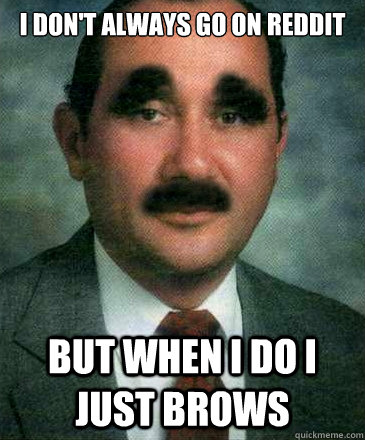 i don't always go on reddit but when i do i just brows  Brow puns