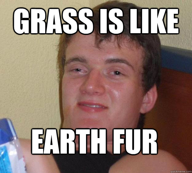 grass is like earth fur  10 Guy