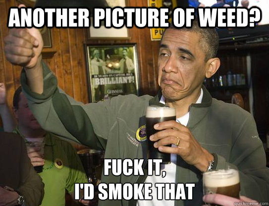 Another picture of weed? Fuck it,
I'd smoke that - Another picture of weed? Fuck it,
I'd smoke that  Upvoting Obama