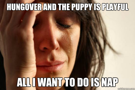 Hungover and the puppy is playful All I want to do is nap   First World Problems