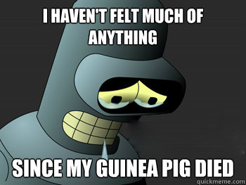 I haven't felt much of anything Since my guinea pig died - I haven't felt much of anything Since my guinea pig died  Misc