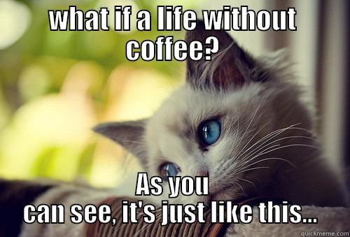 WHAT IF A LIFE WITHOUT COFFEE? AS YOU CAN SEE, IT'S JUST LIKE THIS...  First World Problems Cat