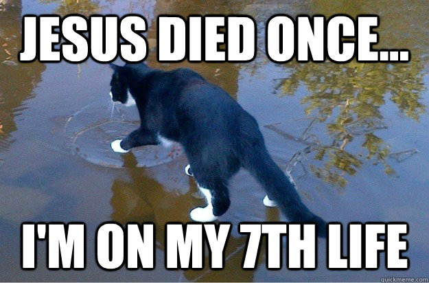 Jesus died once... I'm on my 7th life  Jesus Cat