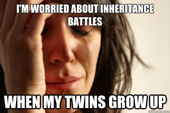 i'm worried about inheritance battles when my twins grow up  First World Problems