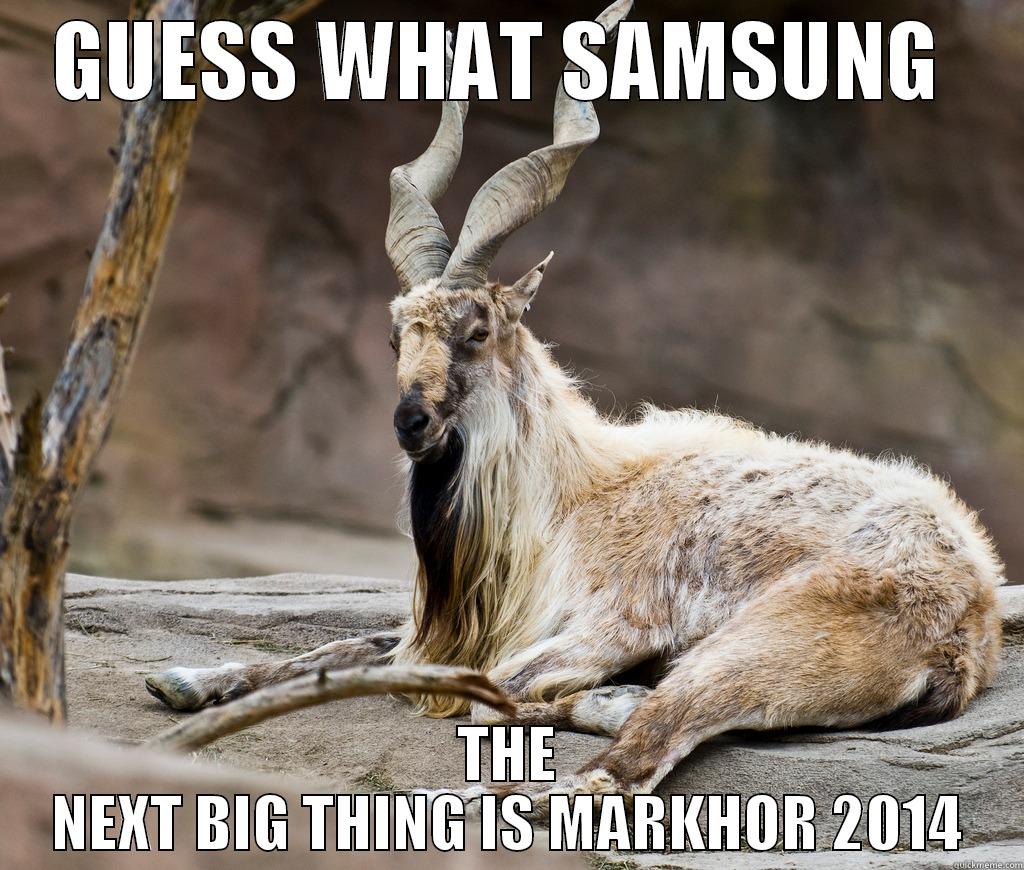 GUESS WHAT SAMSUNG  THE NEXT BIG THING IS MARKHOR 2014 Misc