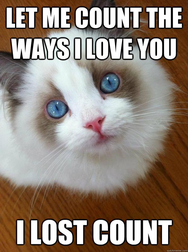 Let me count the ways I love you I lost count  - Let me count the ways I love you I lost count   anti grumpy cat