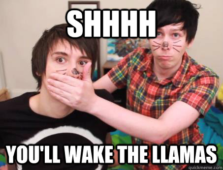 Shhhh You'll wake the llamas  Dan and Phil 3