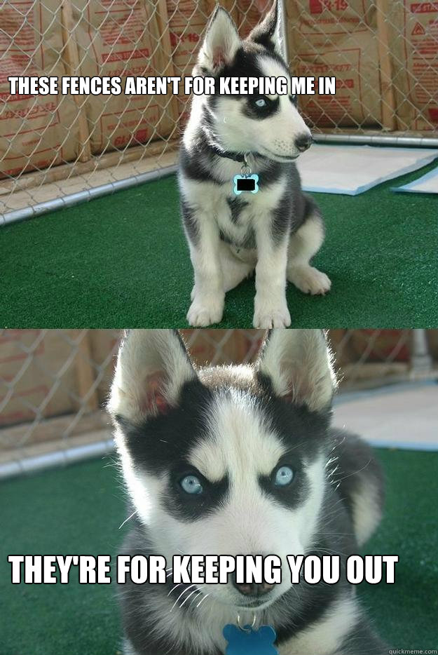 THESE FENCES AREN'T FOR KEEPING ME IN THEY'RE FOR KEEPING YOU OUT  Insanity puppy