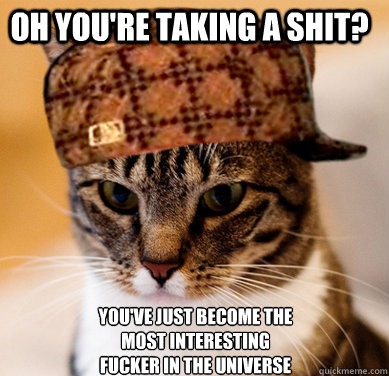 Oh you're taking a shit? You've just become the 
most interesting 
fucker in the universe  Scumbag Cat