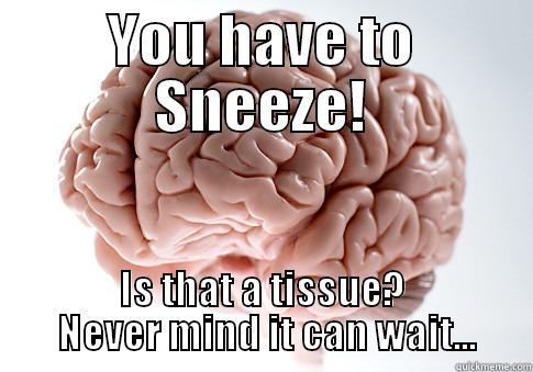 YOU HAVE TO SNEEZE! IS THAT A TISSUE?  NEVER MIND IT CAN WAIT... Scumbag Brain