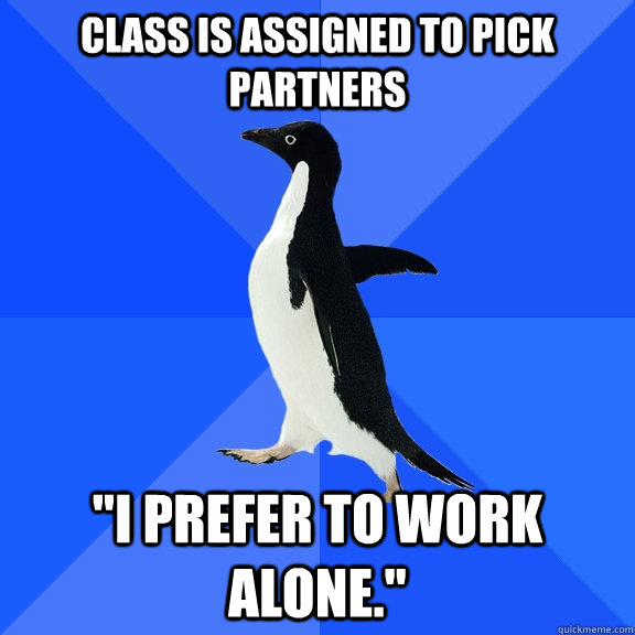 class is assigned to pick partners 