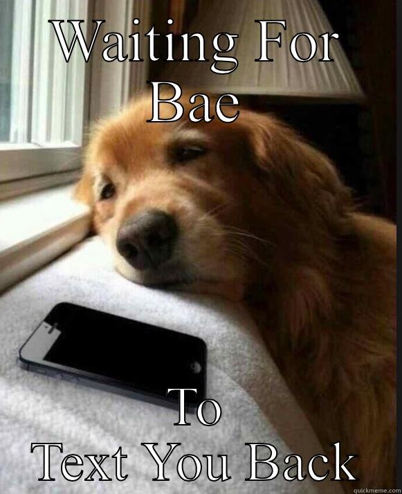 WAITING FOR BAE TO TEXT YOU BACK Misc