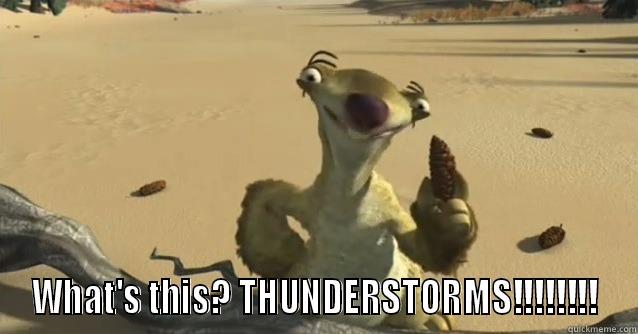  WHAT'S THIS? THUNDERSTORMS!!!!!!!! Misc