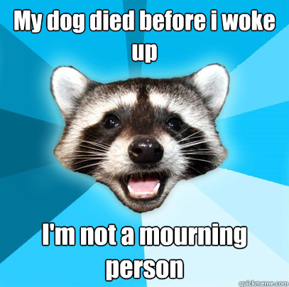 My dog died before i woke up I'm not a mourning person  Lame Pun Coon