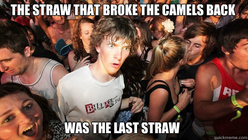 The straw that broke the camels back
 was the last straw  Sudden Clarity Clarence