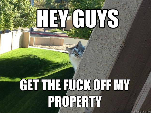 hey guys get the fuck off my property - hey guys get the fuck off my property  neighbor cat