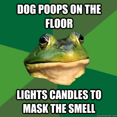 Dog poops on the floor Lights candles to mask the smell  Foul Bachelor Frog