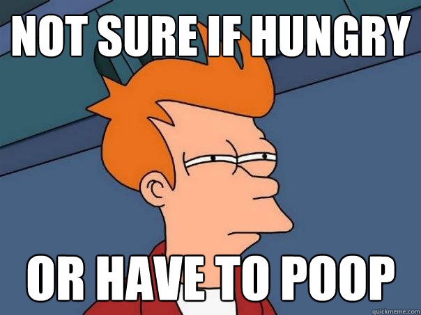 Not sure if hungry or have to poop - Not sure if hungry or have to poop  Futurama Fry