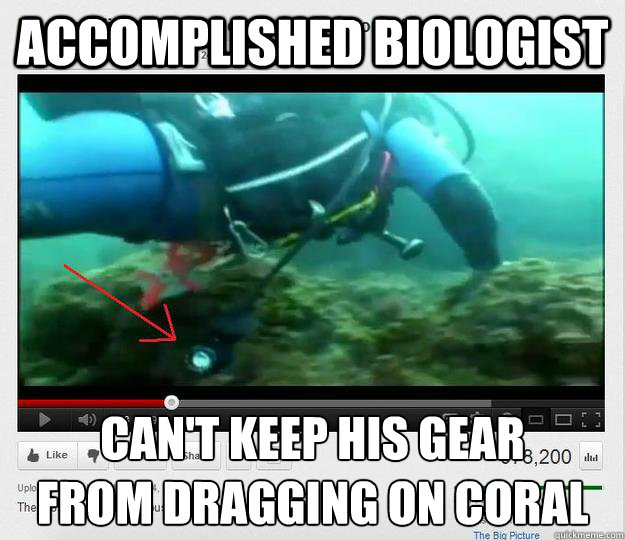 Accomplished Biologist Can't keep his gear
from dragging on coral - Accomplished Biologist Can't keep his gear
from dragging on coral  Misc