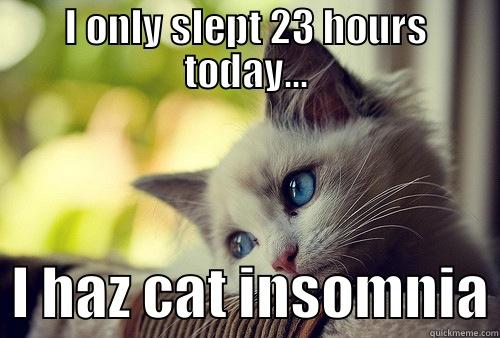 I ONLY SLEPT 23 HOURS TODAY...   I HAZ CAT INSOMNIA First World Problems Cat