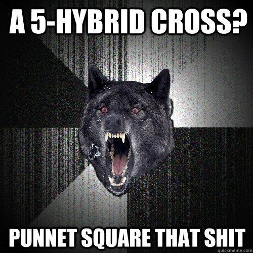 a 5-hybrid cross? punnet square that shit  Insanity Wolf