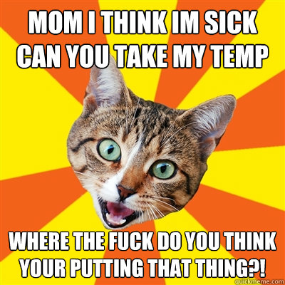 Mom i think im sick can you take my temp Where the fuck do you think your putting that thing?!  Bad Advice Cat