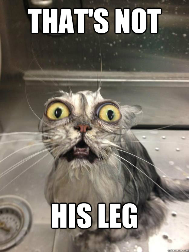 THAT's NOT HIS LEG - THAT's NOT HIS LEG  Misc