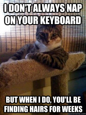 I don't always nap on your keyboard but when I do, you'll be finding hairs for weeks  The Most Interesting Cat in the World