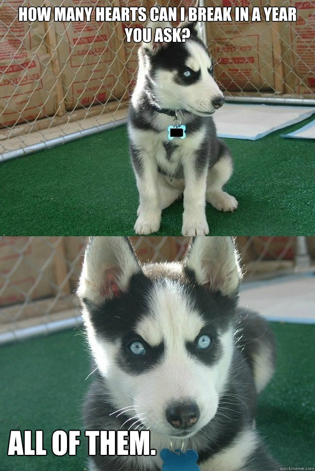 How many hearts can i break in a year you ask? all of them.  Insanity puppy