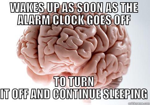 WAKES UP AS SOON AS THE ALARM CLOCK GOES OFF TO TURN IT OFF AND CONTINUE SLEEPING Scumbag Brain