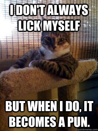I don't always lick myself But when I do, it becomes a pun.   The Most Interesting Cat in the World