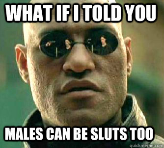 what if i told you males can be sluts too  Matrix Morpheus