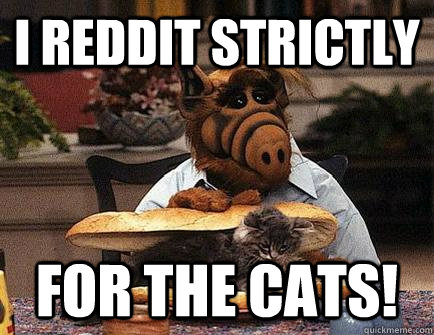 i reddit strictly for the cats!  