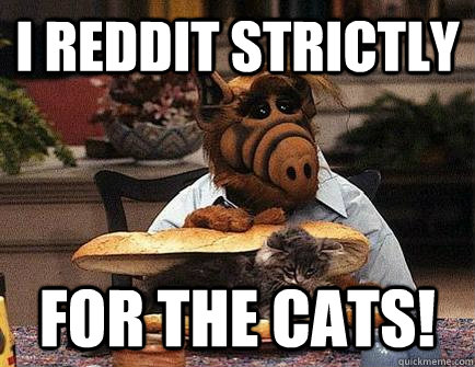 i reddit strictly for the cats!  Alf Cat Killer