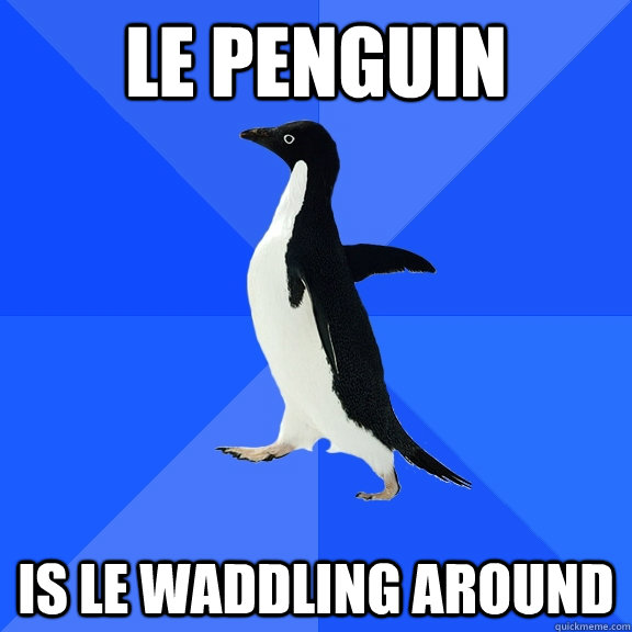 Le penguin is le waddling around  Socially Awkward Penguin