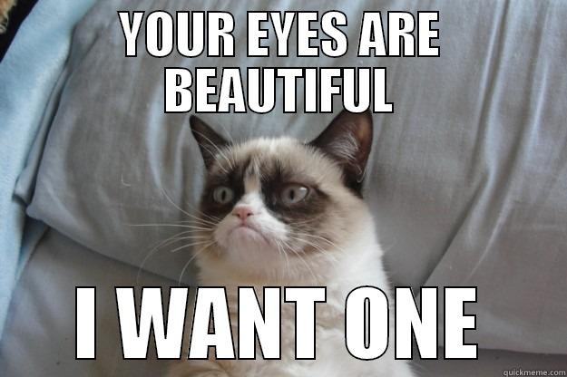 YOUR EYES ARE BEAUTIFUL I WANT ONE Grumpy Cat