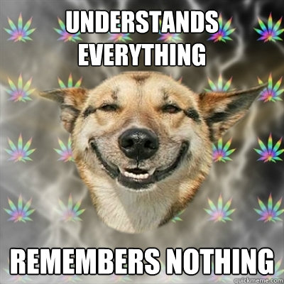 understands everything remembers nothing   Stoner Dog