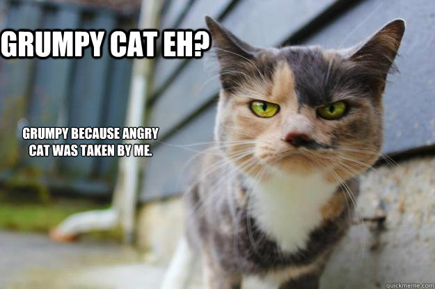 Grumpy cat eh? Grumpy because angry cat was taken by me. - Grumpy cat eh? Grumpy because angry cat was taken by me.  Angry Cat